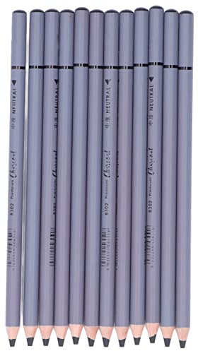 Sonew 12-teiliges Kohlestift-Set, Kohlestift aus Buchenholz, Glatt und Flexibel für Detailliertes Zeichnen, Skizzieren, Malen, Ideales Kunstzubehör für Künstler und
