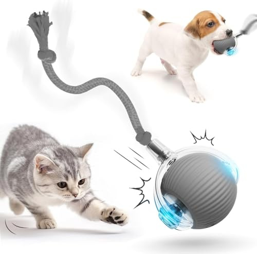 HOIDOKLY Pelota interactiva para gatos, juguete para perros, juguete para mascotas eléctrico con USB recargable, tres modos de trabajo, inteligente, automático, 360°, rodante, gris