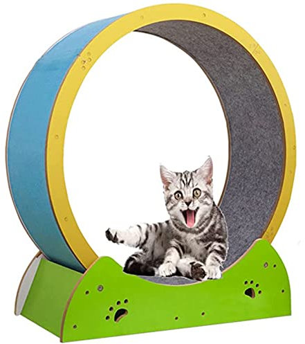 Laufband für Katzen, Klettergerüst für Haustiere, Laufband für Katzen, interaktives Katzenspielzeug für Katzen im Innenbereich, leise Rolle, stabil und wackelt Nicht