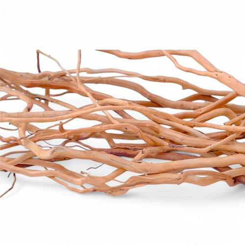 Azil Natural Aquarium Driftwood Root – Driftwood for Aquarium Decor, 170g~0.38lb (14″–16″), Fish Tanks, Terrariums, Aquascaping & Planted Tanks
