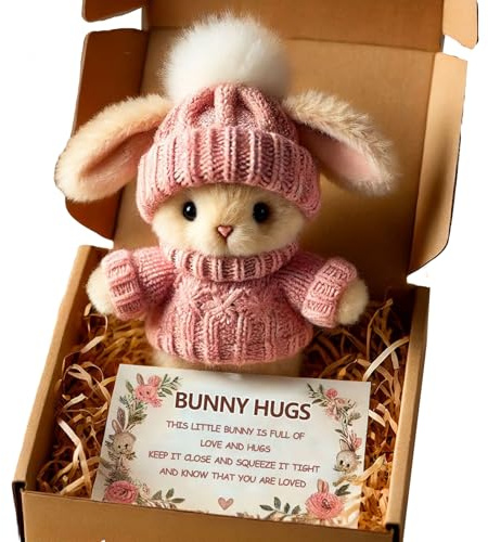 OIWERH 4 Styles Mini Bunny Hug Cute Easter Gift, Minis Rabbits in Box, Bunny in A Box, Emotional Support Positive Crochet Bunny, Handmade Plush Pocket Hug Rabbit Doll, for Kids Family Friend (pink)
