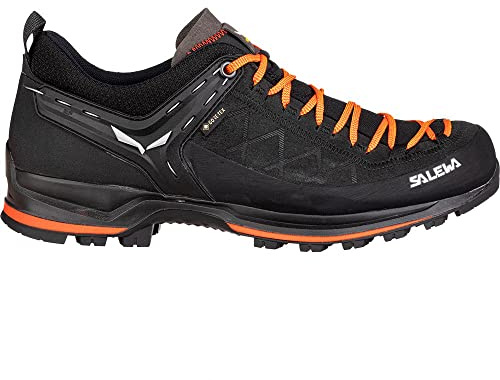 Salewa MTN Trainer 2 GTX Multifunktions Outdoorschuhe
