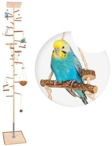 Vogelgaleria® Zimmerhoher Vogel-Kletterbaum 229-231 cm HiFly Medio mit Naturholz-Sitzstangen Vogelspielzeug Vogelschaukel Vogelspielplatz Freisitz Freiflug Landeplatz für Wellensittich Nymphensittich