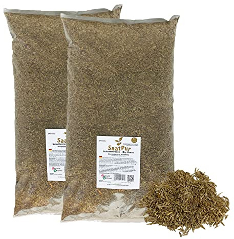SaatPur® Rasensamen Schattenrasen Dürreresistent 5kg für ca. 150 m², Mehrjährige Rasemischung aus mehreren Rasenarten, meistens 4 bis 5, satt grün, schnellkeimend, hitzetolerant, Neusaat und Nachsaat