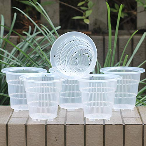 Meshpot 10 cm Transparent Plastique Pot à orchidée avec Trous - 6 Pièces