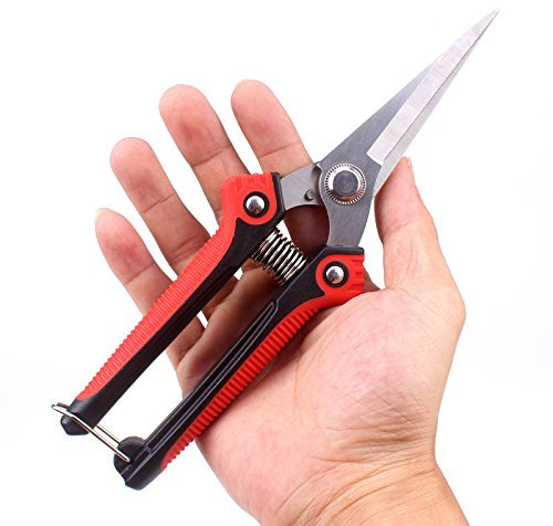 Mallalah Sécateur Ciseaux Micro-Tip de Jardinage à Fleurs Durable des Outils 180mm en Acier Inoxydable de Bonsaïs d'élagage d'arbres Fruitiers