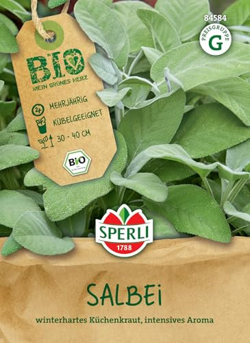 Sperli BIO Salbeisamen 84584 - BIO - mehrjährig - Kübelgeeignet - winterhartes Küchenkraut - intensives Aroma - 30-40cm - Saatgut, Samen Kräuter