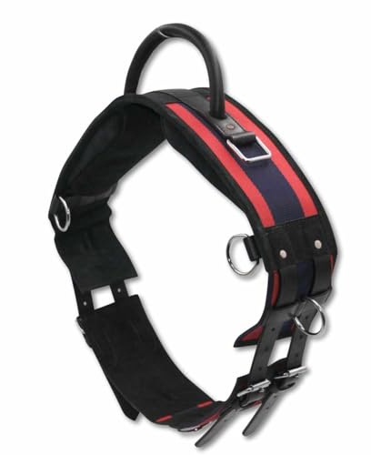 AMKA Longiergurt Reitgurt mit Handgriff aus Leder mit 6 Ringen 2 Ringe für Steigbügelriemen