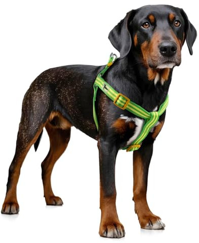 Tiffpaws Stripe Step in Hundegeschirr für kleine Hunde, Freedom Nylon Hundehalfterwesten, leicht und ausbruchsicher, Welpengeschirr, passt schnell für kleine, mittelgroße und große Hunde, Grün, XS