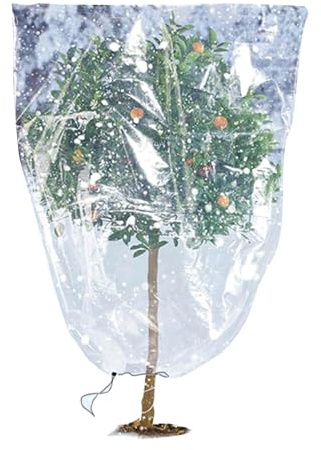 Genérico Funda Antihielo para Plantas - Lámina De Jardinería PE 140x200cm, Bolsa Protectora Transparente | Manta Grueso con Cordón para Invernadero Invierno, Jardín, Vegetación Exterior, Arbustos