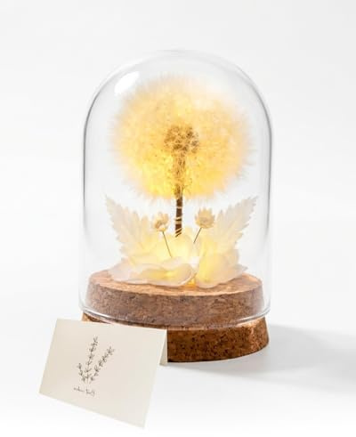 MOXTOYU Echte Pusteblume mit LED Nachtlicht unter Glasglocke Wunscherfüller Pusteblume im Glas als ewige Deko, Außergewöhnliches Geschenk für Frauen zu Valentinstag, Geburtstag & Jahrestag