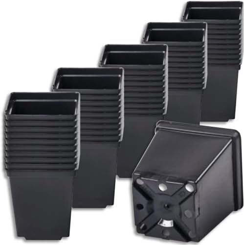 Muddy Hands 50 x 1L Square Plant Pots – Heavy Duty Plastic Nursery Pots for Seedlings, Propagation & Young Plants – Reusable Garden Growing Pots with Drainage – Black