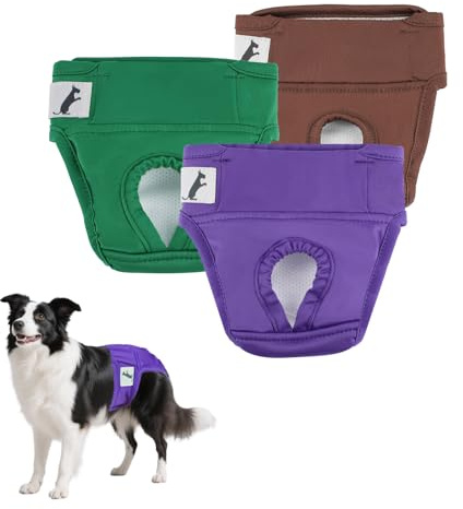 NAMSAN Hundewindeln 3 Stück Läufigkeitshose für Hündinnen Hochsaugfähige Perioden Schlüpfer für Hunde Schutzhöschen für Urin Inkontinenz/Untrainierte Welpen, XXL