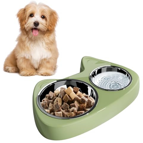 Bekecidi Gamelle pour Chat, Gamelle Chien INOX, Gamelles Eau Chat Double Bol Gamelles pour Chats Chiens Chiots Chatons Mangeoire et Abreuvoir (Vert)
