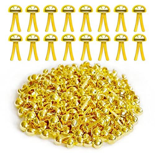 HILELIFE 300 Stück Brads für Papierbastelarbeiten, Premium-Mini-Papierverschlüsse zum Basteln, Messingverschlüsse für Kinder zum Basteln (Gold)