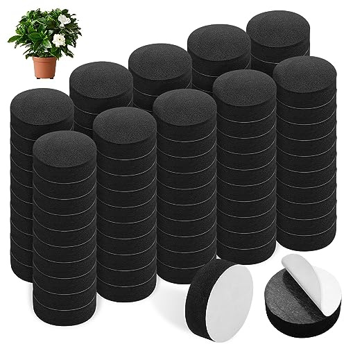 GZqiancang 100 st. krukfötter, självhäftande kruka, blomkruka för små, medelstora och stora blomkrukor, växter inomhus utomhus (3 cm diameter)