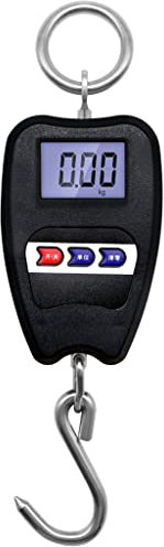 CTCOIJRN Bilancia for Gru da 200 kg/440 libbre Bilancia da Appendere Industriale Digitale Bilancia da Appendere for impieghi gravosi Bilancia for Interni ed Esterni
