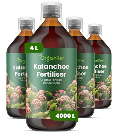 Engrais liquide organique 4x1L pour Kalanchoé – croissance saine et vitalité – Organifer