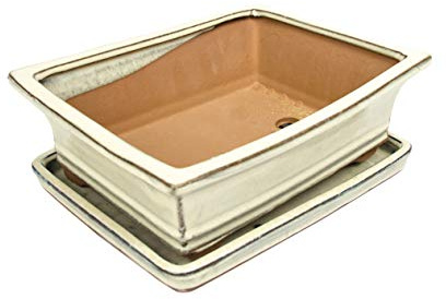 Iflo® Keramik Bonsai-Schale mit Untersetzer – Rechteckig & oval – 15,5 x 12 x 5 cm – Ablauflöcher, 4 Farben, Indoor & Outdoor, Hochwertige Pflanzschale (Weiß, 15 cm)
