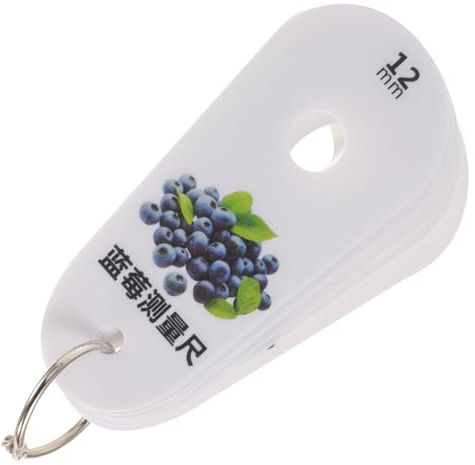 SHINEOFI Regla De Medición De Diámetro Para Frutas, Calibre 9 Orificios Para Arándanos y Cerezas, Herramienta Resistente Para Clasificación Precisa En Granjas y Mercados