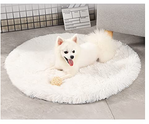 DAIHAN Weiche und Warme Flauschig Hundematten,Haustierdecken Katzenmatten Plüsch Runde Hundedecke Haustierdecke Katzendecke Kissenauflage Schlafmatte Haustiermatte für Kiste Weiß 100cm