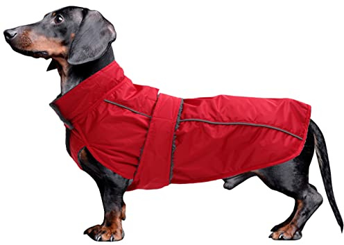 MOREZI Dachshund Regenmantel, wasserdichte Außenschicht, Fleecefutter, reflektierende Besätze, Verstellbarer Gürtel - geeignet für kleine und mittelgroße Hunde-Rot-XS