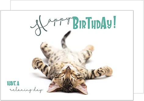 Edition Seidel Premium Geburtstagskarte mit Umschlag. Glückwunschkarte Billet Happy Birthday Grusskarte Mann Frau Tierkarte Katze Humor lustig (G3420 SW023)