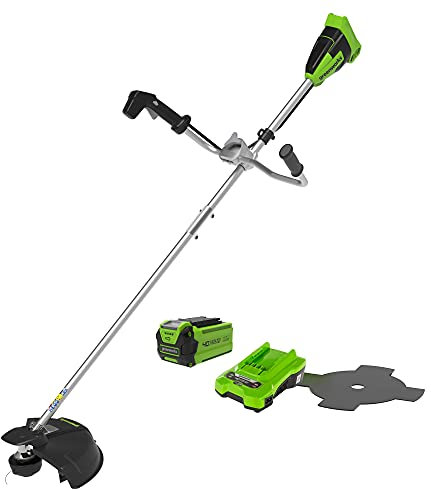 Greenworks Cortabordes Eléctrico y Desbrozadora sin Cable 40V 40cm con 1 Batería 2.5Ah y Cargador, 2mm Hilo/Cuchillo, Mango de Bicicleta Potente Motor sin Escobillas GD40BCBK25