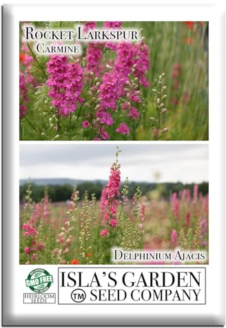 Larkspur Rocket Carmine Flower Seeds - 250+ Seeds Per Packet, (Isla's Garden Seeds), Non-GMO & Heirloom Seeds, Scientific Name; Delphinium Ajacis Larkspur Flower Seed