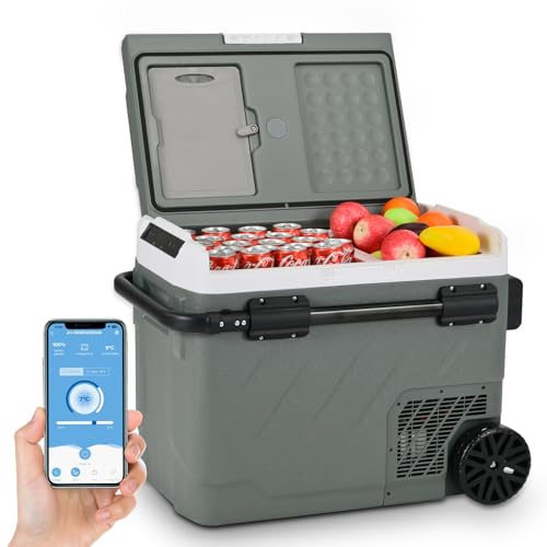 Alpicool 49L Car Refrigerator with APP Control 12V Fridge Freezer, Dual Zone Electric Cooler Box Portable Refrigerator for Car 12V/24V 100-240V(-20℃-20℃) Portable Freezer for Camping Car Trip