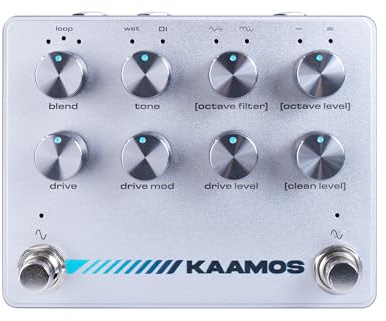 Darkglass Electronics KAAMOS