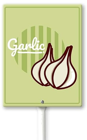 Geroclonup Panneaux de légumes pour jardin avec piquet - Panneau de jardin à l'ail - Étiquettes de jardin - Marqueurs de plantes pour plantes d'extérieur - Étanche - 20,3 x 30,5 cm - Panneau