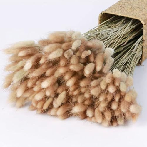Donghome 120pcs 17 Bunny Tails Dried Flowers Brown Pampas Grass Natural Rabbit Tail Grass Dry Floral Arrangement for Boho Wedding Decor,Baby Birthday Party