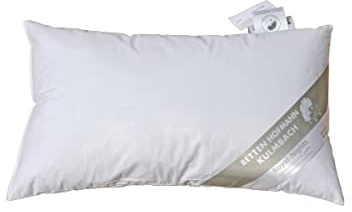 Betten Hofmann Pusta Kopfkissen 30x50 Federkissen Kleinkissen Kuschelkissen 30% Daunen, 180g Füllgewicht, kein Lebendrupf, Naturprodukt, waschbar