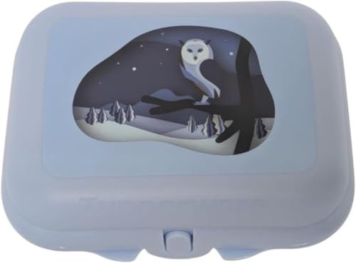 Tupperware Contenitore per il pranzo Twin Size 2, per l'asilo (azzurro)