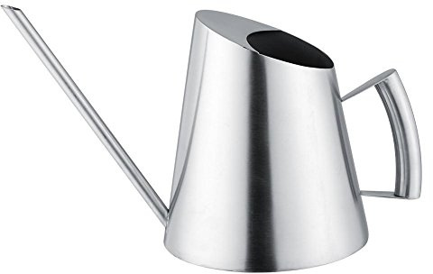 Pasamer 1500ml Edelstahl Gießkanne Zimmerpflanzen Gebürstetem Edelstahl mit Langer Auslauf, Gebürstet Garten Pflanzen Drinnen Draußen Produkte für Zimmerpflanzen Büro zu Hause Drinnen, Silber