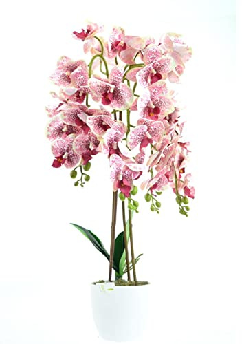 Dixiestore Kunstpflanze Orchidee | Künstliche Orchidee im Topf, wie echt, 70 cm, 4 Zweige, Zahlreiche Blumen, Dicht, Rosa