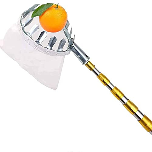 LekLai Recolector de Frutas, Recolector de Frutas, Cosechadora de Nueces Rodantes para Jardín, Cesta para la Cabeza Del Recolector de Frutas, Herramienta para Recoger Frutas de Árboles, con Mango Te