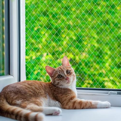 QILUCKY Red de protección de gatos de nailon para balcón, transparente, se puede cortar y resistente a las mordeduras, redes de balcón para gatos, para asegurar terrazas, ventanas y puertas (3 x 4 m)
