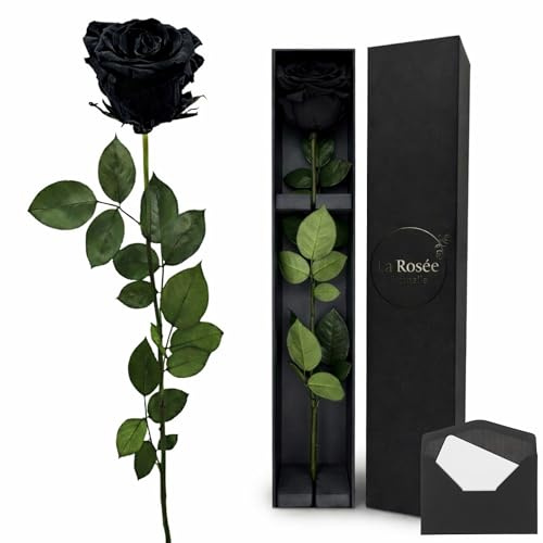 LA ROSEE ETERNELLE Echte Ewige Rose mit langem Stiel – Parfümierte konservierte Rose aus Ecuador – Originelles Geschenk für Frauen, Partnerin & Muttertag – Design aus Spanien – Black
