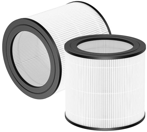 Filtro de repuesto FY0611/30 compatible con purificador de aire Philips AC0650/10, AC0651/10, filtro para purificador de aire Philips serie 600 (2 unidades)