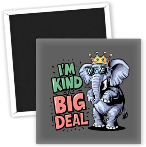 Im kind of a big deal Elefant Sprüche - Witziger Kühlschrankmagnet - Lustige Sprüche Magnete - Originelle Deko für die Küche - Geschenkideen für Elefantenliebhaber - Humorvolle Kühlschrank Deko