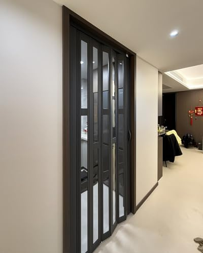 Faltbare Akkordeon-Tür für den Innenbereich, schwarze Aluminium-Schiebetür mit transparentem Acryl, platzsparendes Ziehharmonika-Design für Badezimmer und Raumteiler (66 x 101,6 cm)