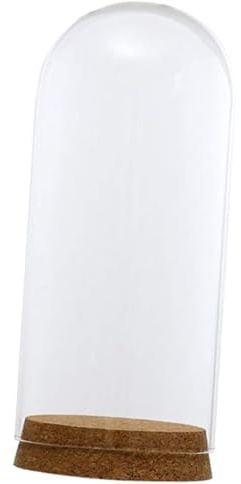 Cubierta de cúpula de cristal transparente, tarro de campana de campana, terrarios suculentos con corcho de madera para decoración de mesa de oficina en casa (8 x 18 cm)