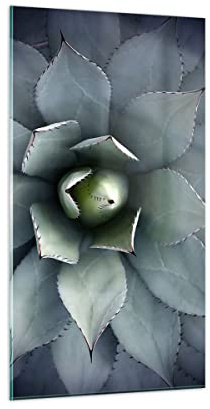 ARTTOR Moderno Quadro su Vetro 45x80 cm Verticale Botanica Fiori - 5133