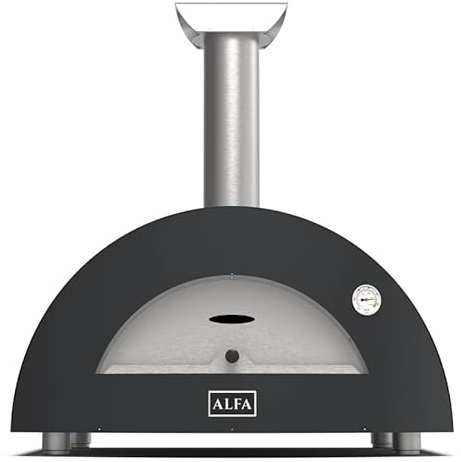 Four métal gaz MODERNE 2 PIZZE