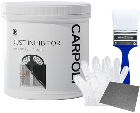 CARPOLY 2-in-1 Rust Converter, Rust Inhibitor Paint for Metal, Ultra Automotive Rust Reformer & Seal, Long-Lasting Rust Preventative Coating(17.5 Oz, White)