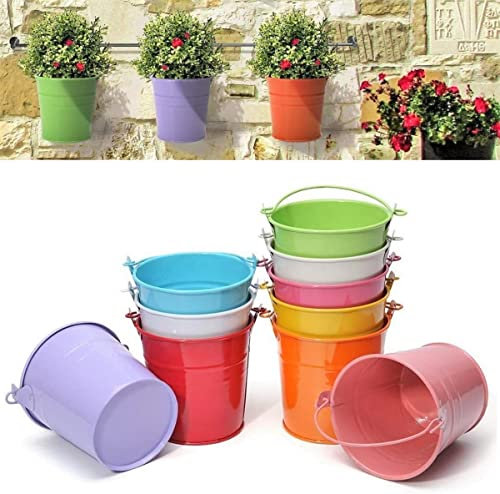 KAHEIGN 12 Pezzi Mini Vasi da Fiori Sospesi in Metallo, 6CM Vasi per Piante Secchio di Fiori Sospeso con Manico Staccabile per Decorazione Del Casa Giardino Recinto Balcone (12 Colori)