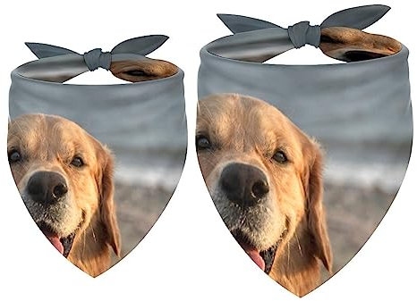 Hundehalstücher, 2er-Pack Haustierschal, Haustierzubehör, süße Welpenhalstücher,Golden Retriever Küste