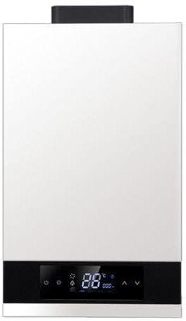 WHYATT Tankless Water Heater, 12L Outdoor Gas Water Heater, Digital Display, Suitable for Camping, RV And Cabin Use